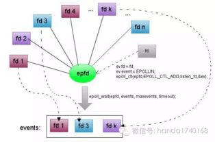 分布式系統(tǒng)本質(zhì)論 高吞吐、高可用與可擴(kuò)展的計(jì)算機(jī)服務(wù)體系解析
